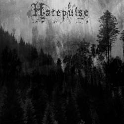 Hatepulse : Core of the Soulless